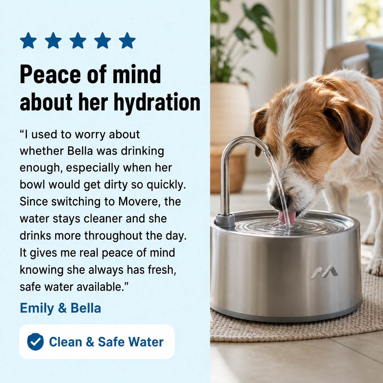 Paw Fountain